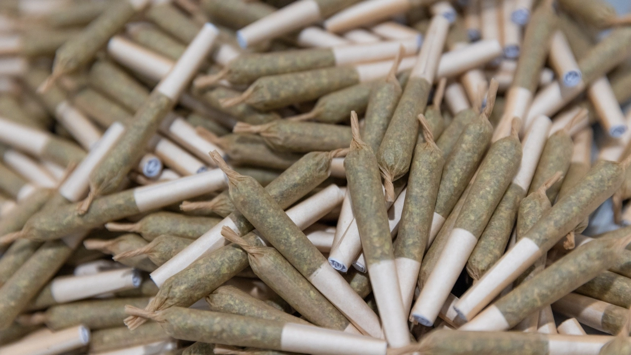 Smooth & Convenient Smoking With Prerolled Joints for Sale in Europe